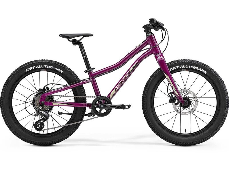 Merida Matts J.20+ Purple click to zoom image