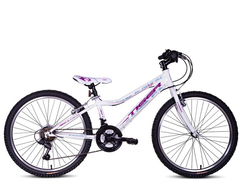 Tiger Angel Rigid 24" Mountain Bike click to zoom image